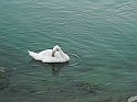 Caorle 2008 038